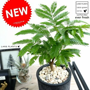 Go[tbV iFjX|bg V_[^ eRb^ A  c c ϗtA  ۔ A  f  ubN DF D O[