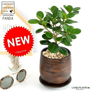 y󏭁z KW}ip_j Ebh yCg픫 STCY KW} A  c c ϗtA F uE ؖ  Eh