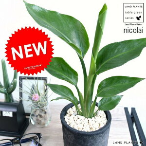 Xg`AijRCj X|bg V_[^ F yF΁z eRb^ I[KX^ Xg`A V̔ A c c ϗtA  ubN O[  Eh  