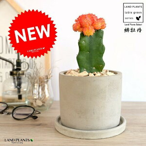 y󏭁z T{e iꉲOFq{^j Zg V_[^ 픫 ԐF IW F JN^X A  c c ϗtA ڂ ږ DF D O[ ˂  Eh  