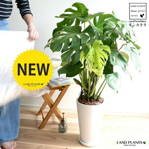 Xe F g[^ Eh 픫io[N`bvj A   eRb^ f  zCg Eh  ϗtA ϗt ^ 