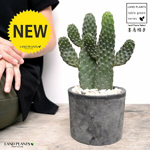 T{einGXqFX~G{Vj 2F  F X|bg V_[^ 픫iVRӐ΁j JN^X oUCT{e  A 2{ A  f eRb^ F zC