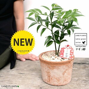 т̖؁i:iMj F X|bg V_[^ 픫iVRӐ΁j iM̖  FOR _ A  f eRb^  uE IW  ی`  ĕJ[h