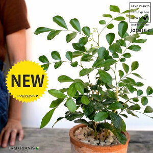 VNWX~iQbLcj F X|bg V_[^ 픫iVRӐ΁j WX~ IWWX~  \  P A  f eRb^  u