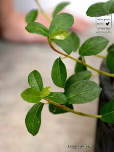 tBJXEVOi鐫KW}j F X|bg V_[^ 픫iVRӐ΁j KW} enCkr  c A  f eRb^  uE IW 