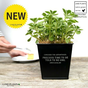 A}eBJX zCgS F XNGA^ uL|bg STCYyRRt@Co[z vNgTX LoIKm n[u n[ueB[ X[v~g Hp  A Jo[ 