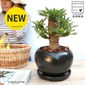 \ecLihSiفFpCibvR[j F  픫yo[N`bvEMEĕz [tHrA hSL  i \ec hS \eci  A    {