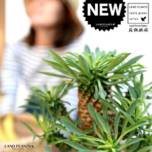 \ecLipCibvR[j F  픫yo[N`bvEMEĕz hSi [tHrA hSL  i \ec hS \eci  A    {