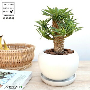 \ecLihSiفFpCibvR[j F ی^ 픫yo[N`bvEMEĕz [tHrA hSL  i \ec hS \eci  A    {