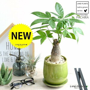 pLi^Cvj O[F ̂ 픫yVRӐ΁EMEĕz pL ANAeBJ  ̖ 𐶂ݏo A  c c ϗtA ϗt  