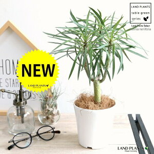 yz L[c[iNCjAElCtHAj 4 F vX`bN yRRt@Co[z A  c c ϗtA A  T{e  zCg  Eh v