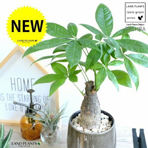 pLi^Cvj x[WF ̂ 픫yVRӐ΁EMEĕz pL ANAeBJ  ̖ 𐶂ݏo A  c c ϗtA ϗt DF 