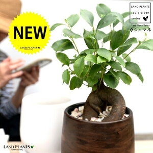 y2FzKW}ij EbhF or F 픫 STCY yVRӐ΁EMEĕz K炷 K̎  ܂̖ A  ۔ Eh uE EH[ibg 