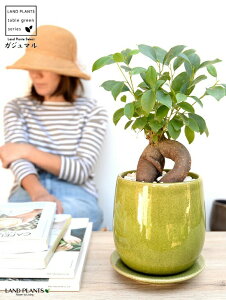 ijKW} O[  Eh^ 픫 yF΁EMEĕzK炷 K̎  ܂̖   A    c c  ϗtA O