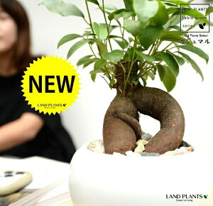 KW}ij F  픫 i2jyVRӐ΁EMEĕz K̎ 삪h A  c c  zCg  Eh ϗtA  ܂