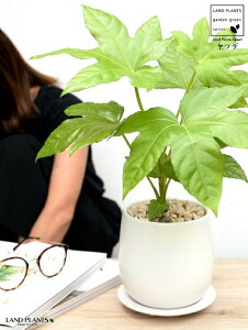 cfij Fhbv^ 픫 STCY yVRӐ΁EMz eOmnE` V̉Hc ^ A  뉀 nbJNLo pՑf A  c c  zCg 