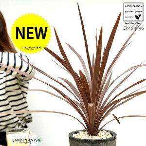 RfBlibhX^[j F X|bg V_[ 픫yVRӐ΁Eĕz A  c c  eRb^ f MOSSPOT MOSS X  RPی`  ubN  O[ DF 