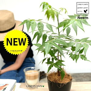 yz ~Nj[i̖؁j F 4 vX`bNyRRt@Co[z Ղ̖ j[ A j[IC xh ChZ_ AUWN` AAUWN^