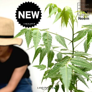 yz ~Nj[i̖؁j F 4 vX`bNyRRt@Co[z Ղ̖ j[ A j[IC xh ChZ_ AUWN` AAUWN^