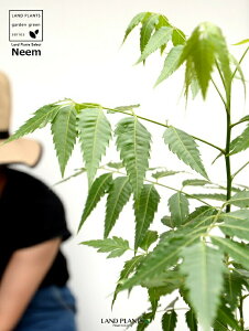 yz ~Nj[i̖؁j F 4 vX`bNyRRt@Co[z Ղ̖ j[ A j[IC xh ChZ_ AUWN` AAUWN^