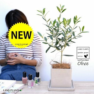 I[u Zg L[u^ 픫yRRt@Co[EMEĕz I[uc c c A  ϗtA A A ŗeւ̃v[g ̋LOi eMtg 