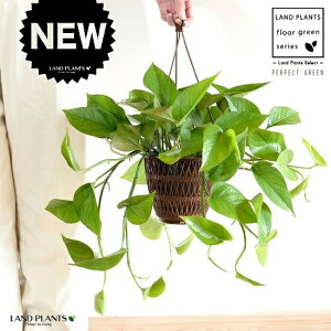 yFEfUC܂z|gXip[tFNgO[j 5 nMO|bg yRRt@Co[z |gXp[tFNgO[ p[tFNgO[ PG A  c c  ݔ 