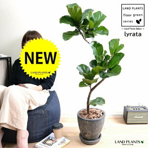 JVoSi3DJ[uȂj F GbO^ Eh 픫 yo[N`bvEMEĕztBJX [^ or[m A  c c  f  ubN ^ ϗtA 