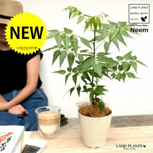 yz ~Nj[i̖؁j 4 F vX`bN Ղ̖ j[ A j[IC xh ChZ_ AUWN` AAUWN^  A c c 