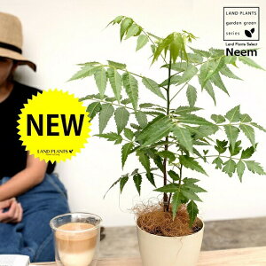 yz ~Nj[i̖؁j 4 F vX`bN Ղ̖ j[ A j[IC xh ChZ_ AUWN` AAUWN^  A c c 