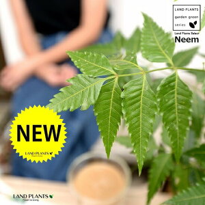 yz ~Nj[i̖؁j 4 F vX`bN Ղ̖ j[ A j[IC xh ChZ_ AUWN` AAUWN^  A c c 