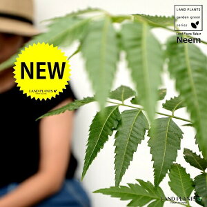 yz ~Nj[i̖؁j 4 F vX`bN Ղ̖ j[ A j[IC xh ChZ_ AUWN` AAUWN^  A c c 