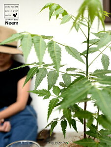 yz ~Nj[i̖؁j 4 F vX`bN Ղ̖ j[ A j[IC xh ChZ_ AUWN` AAUWN^  A c c 