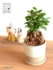 ܂ij a_ ֖dグ c[g 픫 STCYi×j ynChEMEĕz K̎ 삪h KW}  A Aؔ  ĕ ֖ c c F 