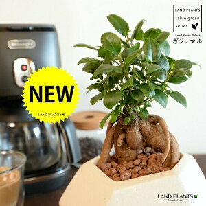 KW}ij F |S^ p` 픫 ynChEMEĕz K̎ 삪h KW}  A Aؔ  c c  zCg  ٌ` ό` ֖ ĕ 