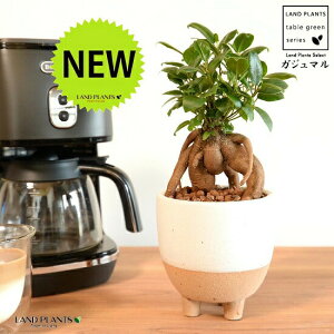 ܂ t c[g|bg STCYi×j ynChEĕz K̎ 삪h KW}  A Aؔ  ĕ c c O O{ rt f  zCg 