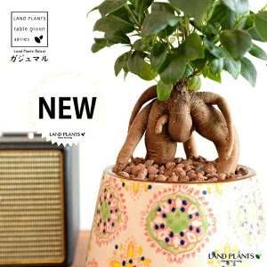 ܂ijڂĂ M̌^ h yCgvg 픫 uE ynChEMEĕz K̎ 삪h KW}  A Aؔ  ĕ c c 