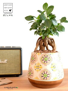 ܂ijڂĂ M̌^ h yCgvg 픫 uE ynChEMEĕz K̎ 삪h KW}  A Aؔ  ĕ c c 