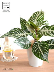 yz AtFhiXNATE_jAj 4 F vX`bN yRRt@Co[zLE{N AtFhXNAT XNAT_jA AtFh_jAc c 