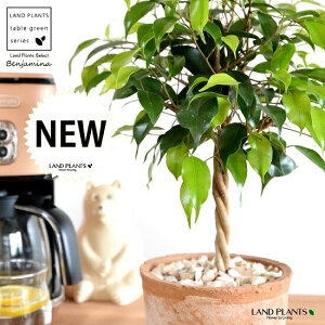 xW~igsA[dāj F X|bg V_[^ 픫 yVRӐ΁EĕzLOn LOn[ gsA[ X^_[hd {[ S S̖ tBJX x