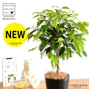 yz xW~igsA[dāj 4 vX`bN F yRRt@Co[zLOn LOn[ gsA[ X^_[hd {[ S S̖ tBJX x