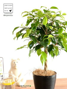 yz xW~igsA[dāj 4 vX`bN F yRRt@Co[zLOn LOn[ gsA[ X^_[hd {[ S S̖ tBJX x