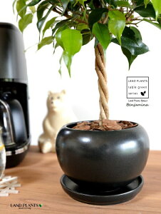 xW~igsA[dāj F  픫 yo[N`bvEMEĕzLOn LOn[ gsA[ X^_[hd {[ S S̖ tBJX xW~