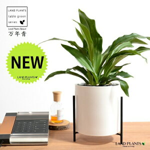 yJo[z NFIgiLcj ACAX^ht  픫 F MTCY yVRӐ΁EĕEȂz _Ig Lc ji N ^ ^Abv N 