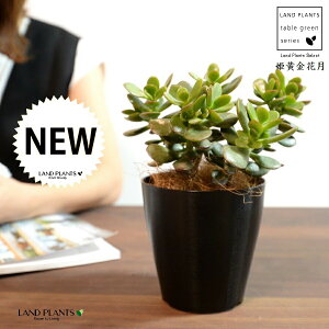 yz JlmiLiPԌFqIESJQcj 4 vX`bN F yRRt@Co[z NbX |cPA A   ̂Ȃ t`xjxPC 