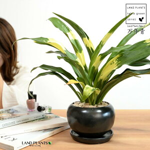 NFIgiDj  픫 F yVRӐ΁EMz _Ig Lc N ^ ^Abv N  XY g  Ԓdj ^Jul ̑D ^Jm