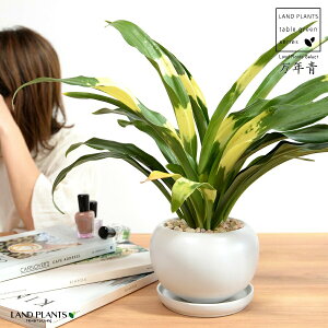 NFIgiDj F  픫 yVRӐ΁EMz _Ig Lc N ^ ^Abv N  XY g  Ԓdj ^Jul ̑D ^Jm