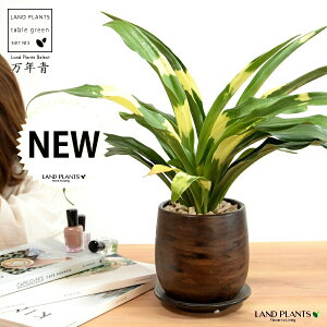 NFIgiDj Ebh yCg 픫 yVRӐ΁EĕEMz _Ig Lc ji N ^ ^Abv N  XY g  Ԓdj 