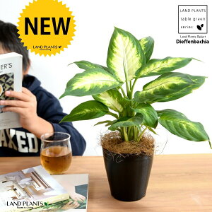 yz fBtFoLAiJ~[j 4 vX`bN F yRRt@Co[z ubN fwoLA fwJ~[ fBtFoLAJ~[ v vX`bN ϗtA