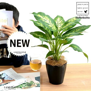 yz fBtFoLAiRpN^[j 4 vX`bN F yRRt@Co[z ubN fwoLA fwRpN^[ fBtFoLARpN^[ v vX`