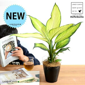 yz fBtFoLAitBW[j 4 vX`bN F yRRt@Co[z ubN fwoLA fwRtBW[ fBtFoLAtBW[ v vX`bN ϗt